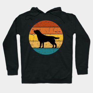 Retro Sunset Dog Hoodie